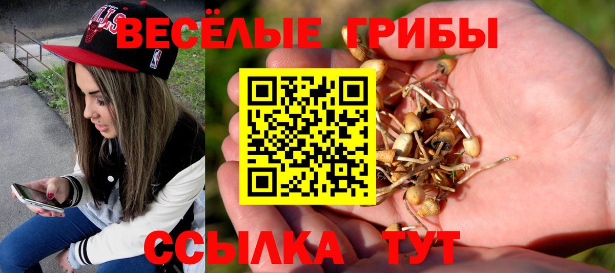 Псилоцибиновые грибы Cubensis  Галлюциногенные грибы Magic Shrooms  Гай  Вход с VPN 